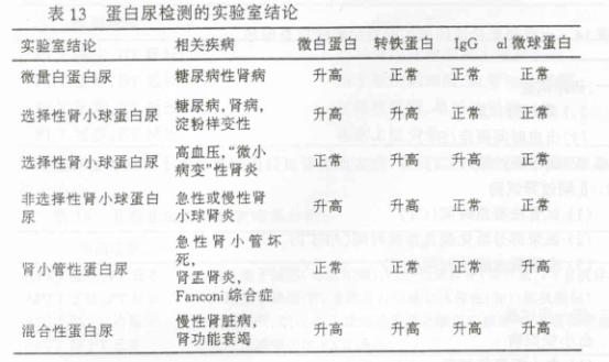 本科毕业论文要求