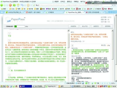 论文抄袭检测软件