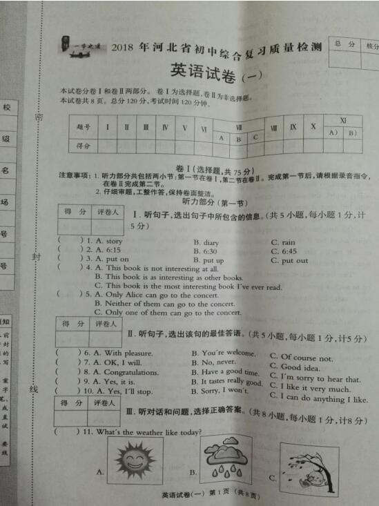 检测英文检测报告模板