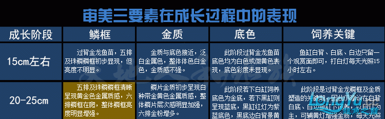 某宝网商城某宝充值