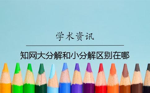 知网大分解和小分解区别在哪？