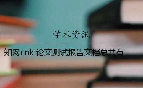 知网cnki论文测试报告文档总共有几份？